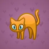 Scared Cat #16564