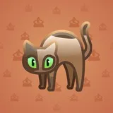 Scared Cat #16709 Scared Cat #16709