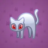 Scared Cat #16995 Scared Cat #16995