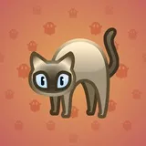 Scared Cat #17536 Scared Cat #17536