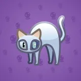 Scared Cat #17662