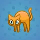 Scared Cat #17712