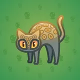 Scared Cat #17750 Scared Cat #17750