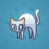 Scared Cat #2118