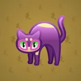 Scared Cat #213