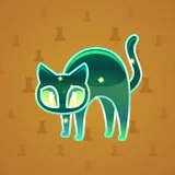 Scared Cat #2639