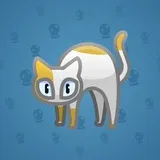 Scared Cat #2847