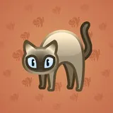 Scared Cat #3250 Scared Cat #3250