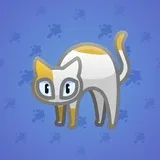 Scared Cat #3433