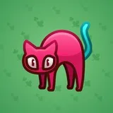 Scared Cat #3464 Scared Cat #3464