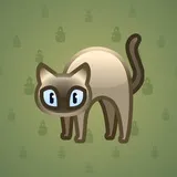 Scared Cat #3777 Scared Cat #3777