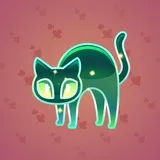 Scared Cat #443 Scared Cat #443