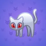 Scared Cat #4437 Scared Cat #4437