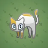 Scared Cat #4534 Scared Cat #4534