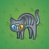 Scared Cat #4649