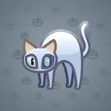 Scared Cat #479 Scared Cat #479