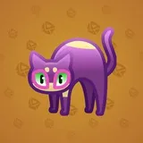 Scared Cat #5048 Scared Cat #5048