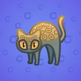 Scared Cat #5180