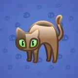 Scared Cat #5552