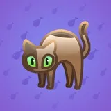 Scared Cat #569