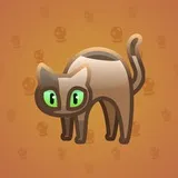 Scared Cat #5989