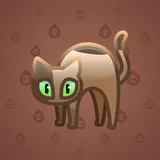 Scared Cat #6278