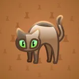 Scared Cat #6353 Scared Cat #6353