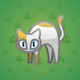 Scared Cat #6379