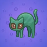 Scared Cat #6388 Scared Cat #6388