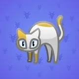 Scared Cat #6563