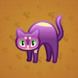 Scared Cat #6683 Scared Cat #6683