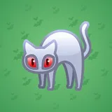 Scared Cat #6986 Scared Cat #6986
