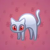 Scared Cat #7623 Scared Cat #7623