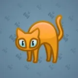 Scared Cat #7971