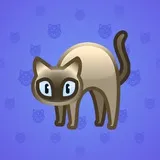 Scared Cat #8027