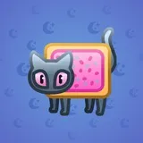 Scared Cat #8178