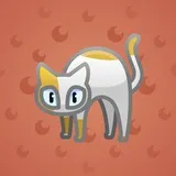 Scared Cat #8425 Scared Cat #8425