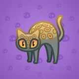 Scared Cat #8560