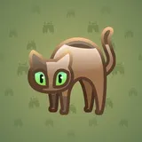 Scared Cat #8599