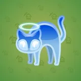 Scared Cat #8700 Scared Cat #8700