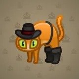 Scared Cat #8862