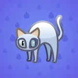 Scared Cat #9090