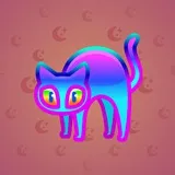 Scared Cat #9337 Scared Cat #9337
