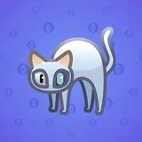 Scared Cat #9464