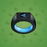 Signet Ring #1017
