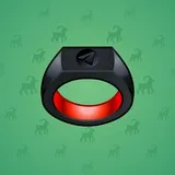 Signet Ring #1059