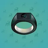 Signet Ring #1077