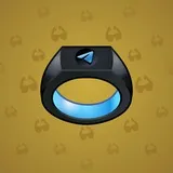 Signet Ring #1201