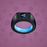 Signet Ring #1209