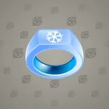 Signet Ring #1260